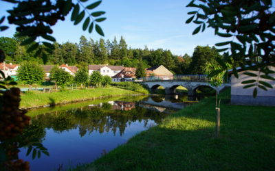 Krizové řízení
