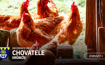 Nařízení Státní veterinární správy ze dne 5.1.2023 – Mimořádné opatření – uzavřený prostor
