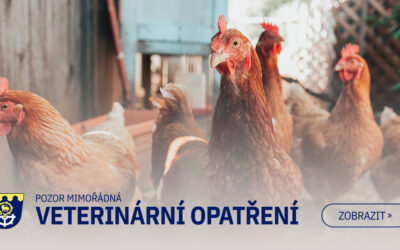 Mimořádná veterinární opatření – ptačí chřipka (nařízení KVS)