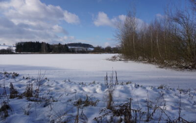 Návrh plánu péče PP Březnice – Oblouček 2025-2034